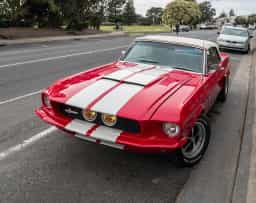 Shelby GT500