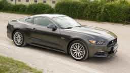 Mustang