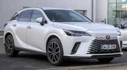 RX Hybrid