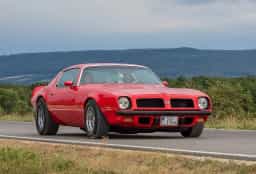 Firebird