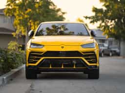 Urus