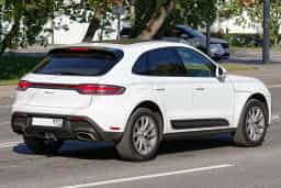 Macan
