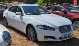 XF